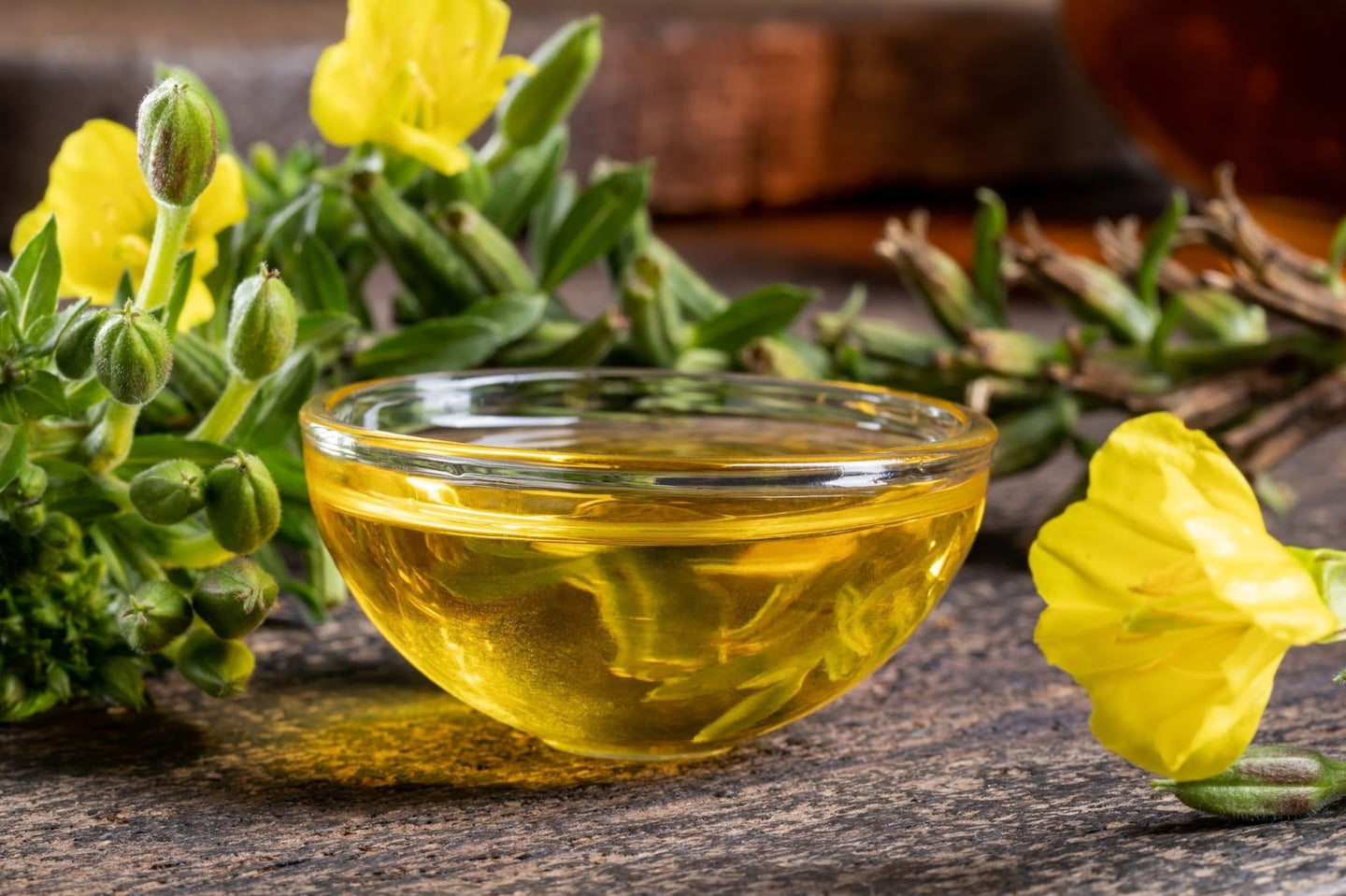 Evening Primrose Oil Benefits for the Skin